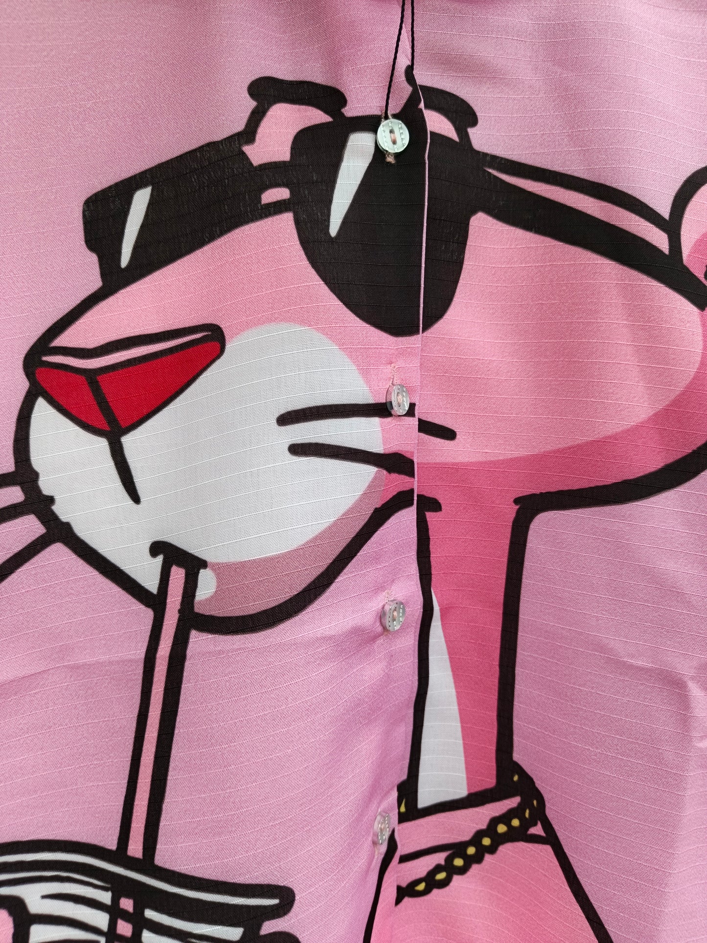 Panther Vibe - Funky Elegance